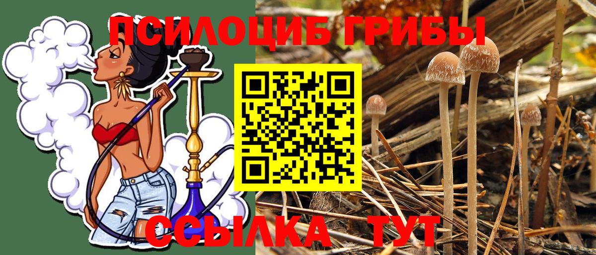 Галлюциногенные грибы MAGIC MUSHROOMS  Вход с VPN  Псилоцибиновые грибы Psilocybine cubensis  Щёлково 